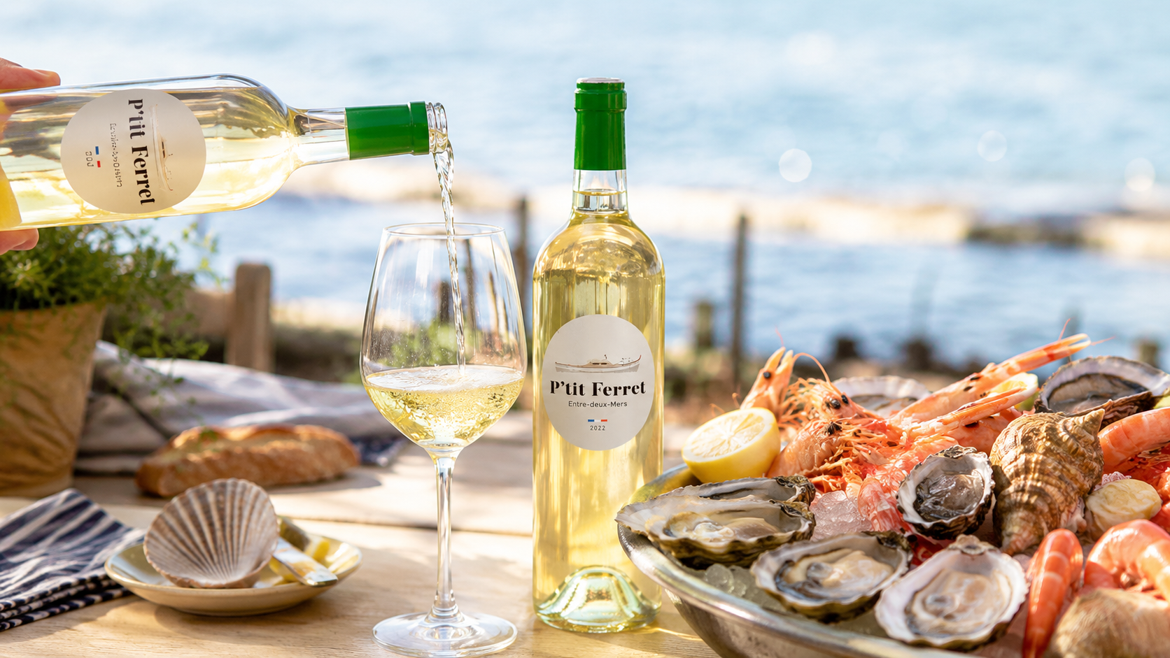Quel vin servir avec des fruits de mer ? Le guide des accords parfaits