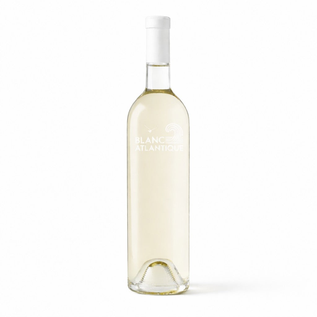 Blanc Atlantique x 6 - 2025 - P'tit Ferret