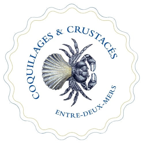 Coquillages & Crustacés Blanc x6 - 2024 - P'tit Ferret